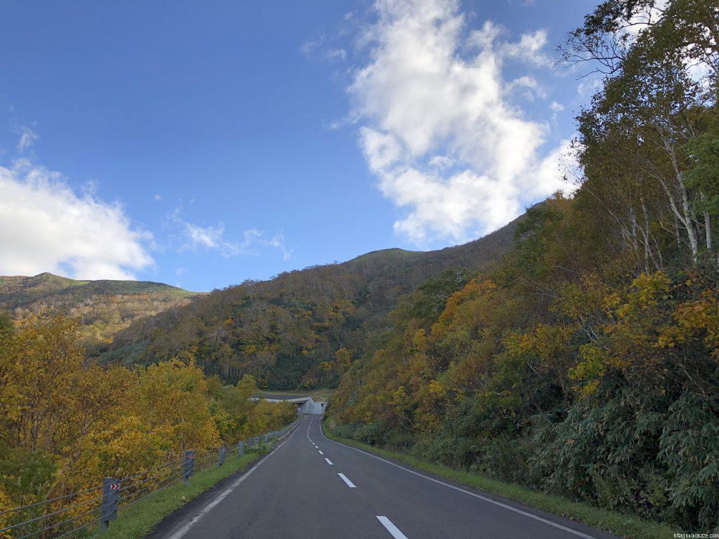 秋のニセコパノラマライン