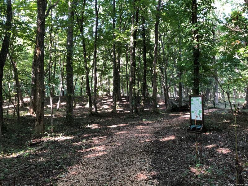 キウス周堤墓群