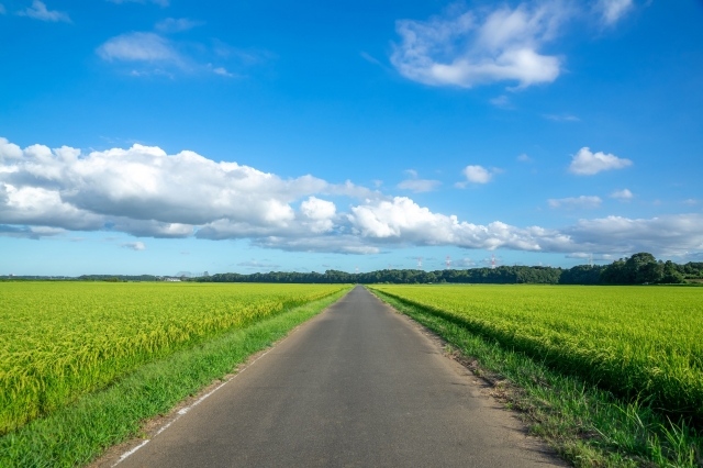 田舎の田園風景