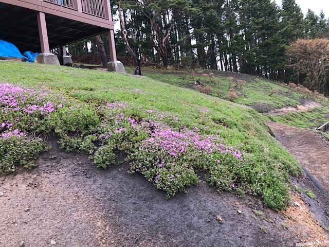 木古内町薬師山