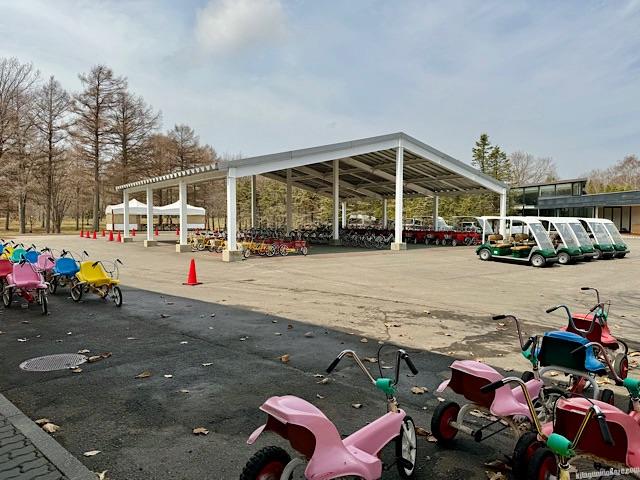 アクティビティゾーン